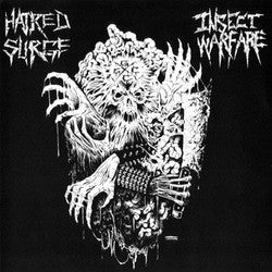 Hatred Surge / Insect Warfare "Split" 7"