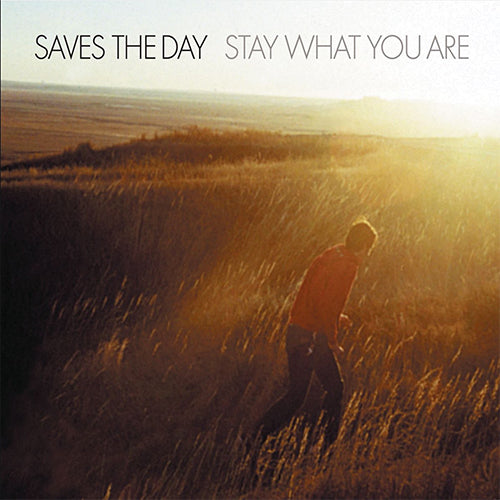 Saves The Day "Stay What You Are" 2x10"