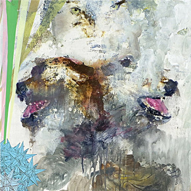 These Arms Are Snakes "Tail Swallower And Dove"LP