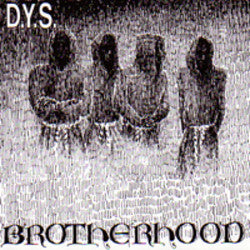 DYS "Brotherhood"  LP
