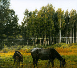 Pianos Become The Teeth "Old Pride" CD