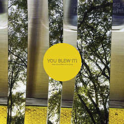 You Blew It "Keep Doing What Your Doing" CD
