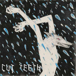 Cut Teeth "Night Years" LP