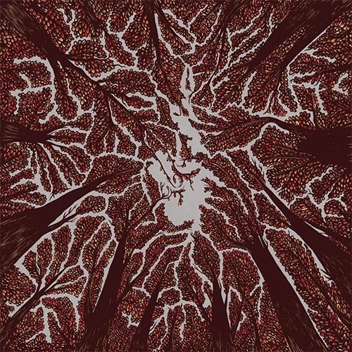 Trash Boat "Crown Shyness" LP