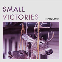 Frameworks "Small Victories" 7"