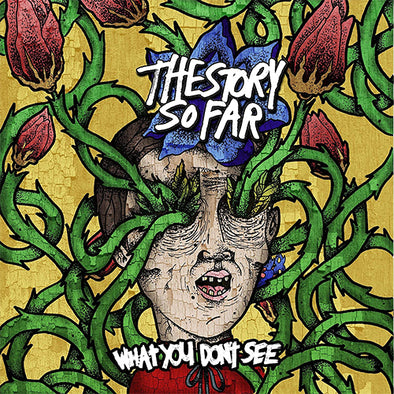 The Story So Far "What You Don't See" LP