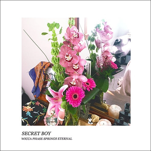 Wicca Phase Springs Eternal "Secret Boy" LP - Damaged Jacket
